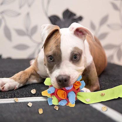 Fun Pet Interactive Ball Toy