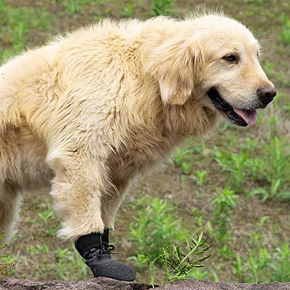 Waterproof Hiking Dog Boots for Trail Running