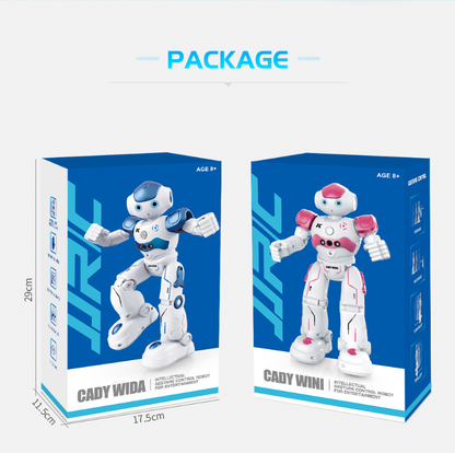 Smart RC Robot Toy