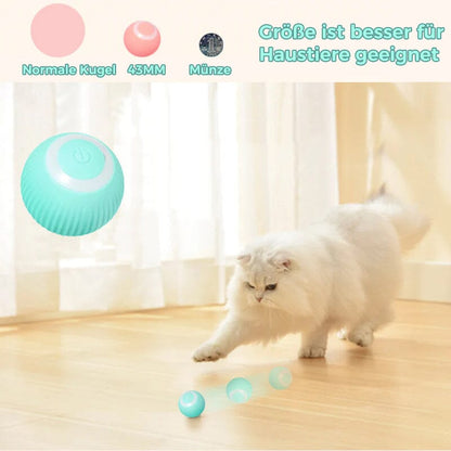 Befez | Smart Auto Rolling Cat Play Ball