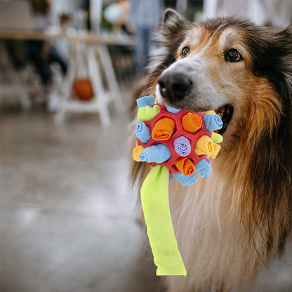 Fun Pet Interactive Ball Toy