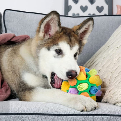 Fun Pet Interactive Ball Toy