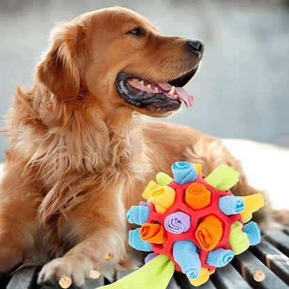 Fun Pet Interactive Ball Toy