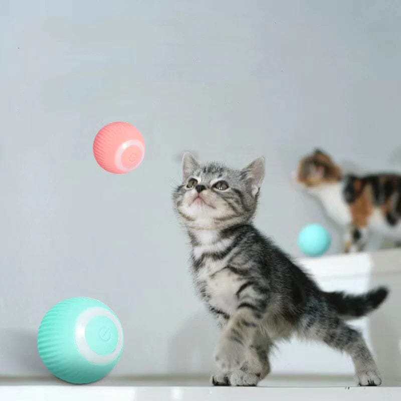 Befez | Smart Auto Rolling Cat Play Ball