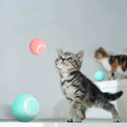 Befez | Smart Auto Rolling Cat Play Ball