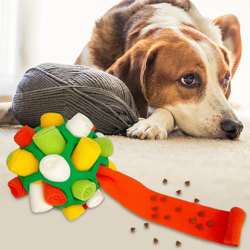 Fun Pet Interactive Ball Toy