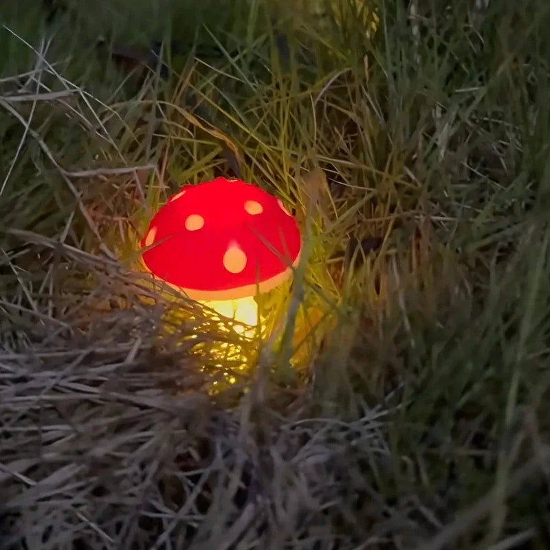 Befez | Bright Outdoor Solar Powered Lights