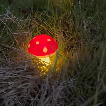 Befez | Bright Outdoor Solar Powered Lights