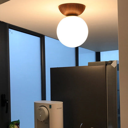 Asian Inspired Modern LED Ceiling Light
