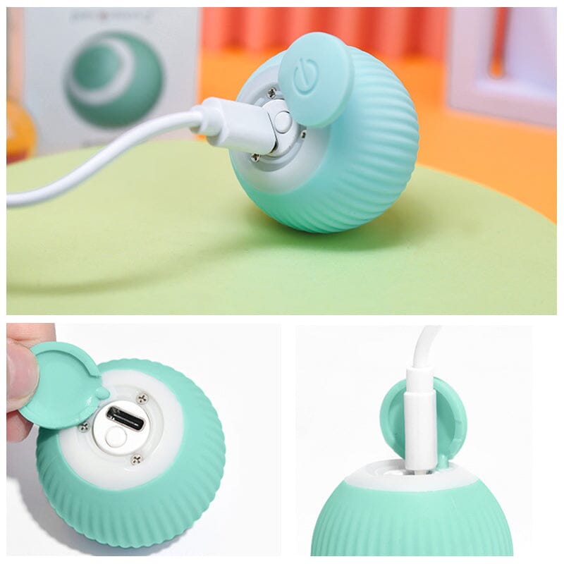 Befez | Smart Auto Rolling Cat Play Ball