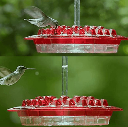 Outdoor Bird Feeder with 30 Ports, Ant Blocker, UV Protection