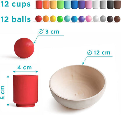 Fun Learning Color Shape Sorter Toy