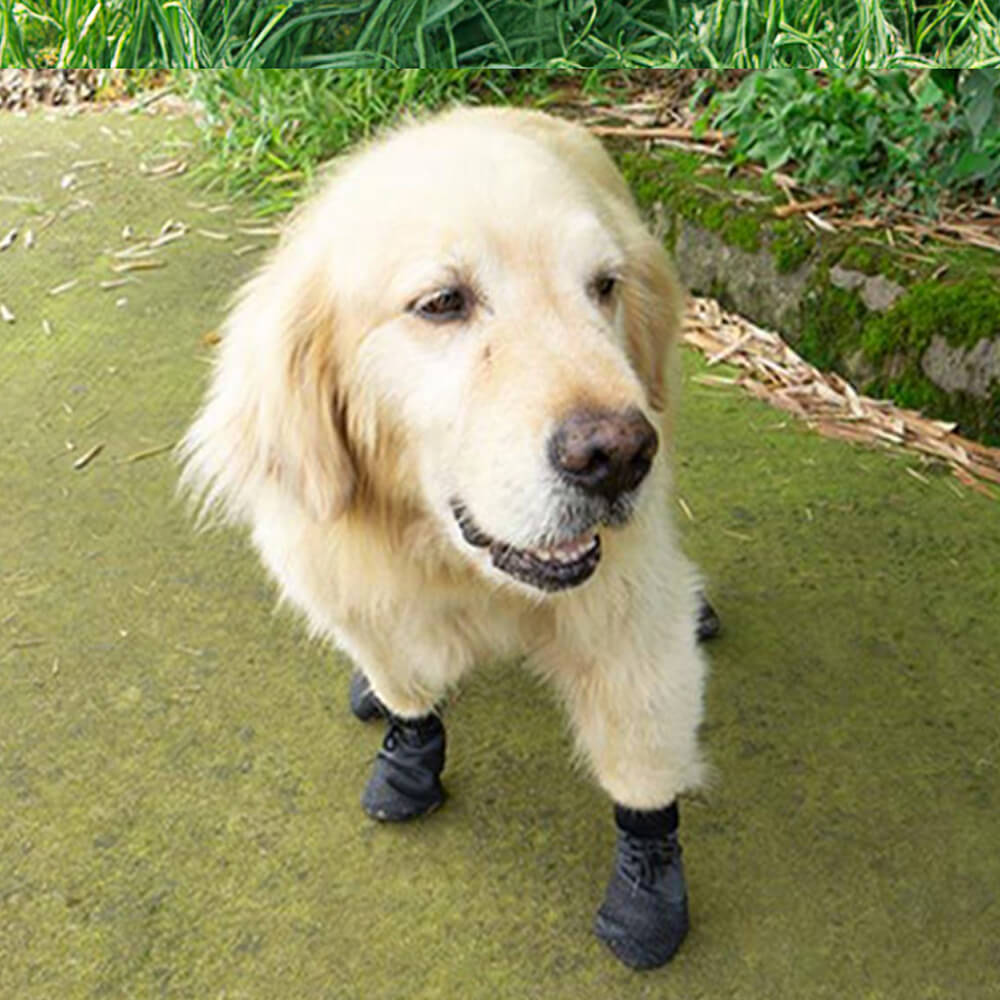Waterproof Hiking Dog Boots for Trail Running