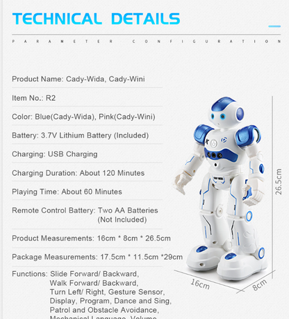 Smart RC Robot Toy
