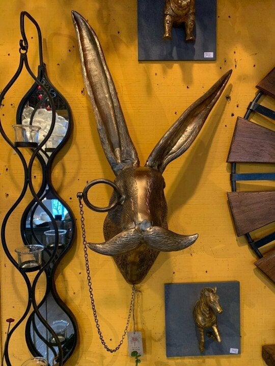 Befez | Exotic Wildlife Wall Mount Animal Head Decor
