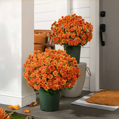 Vibrant Fall Garden Planter