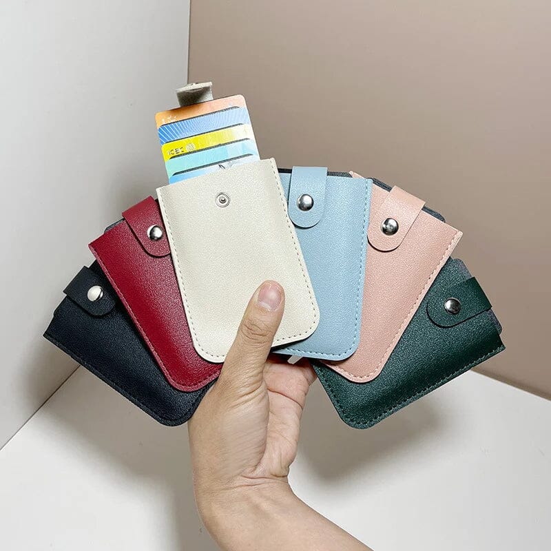 Compact Travel Passport Card Holder