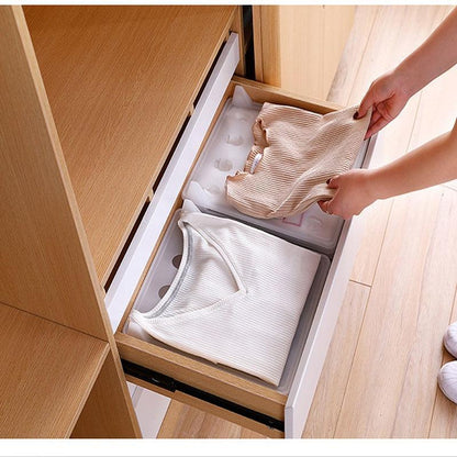 Easy Shirt Storage System