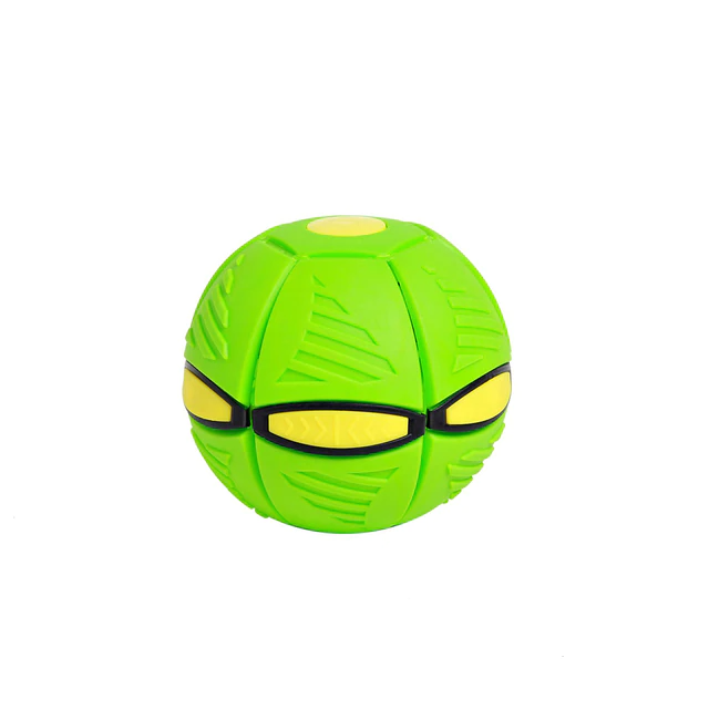 Fun Interactive Bouncy Ball Toy