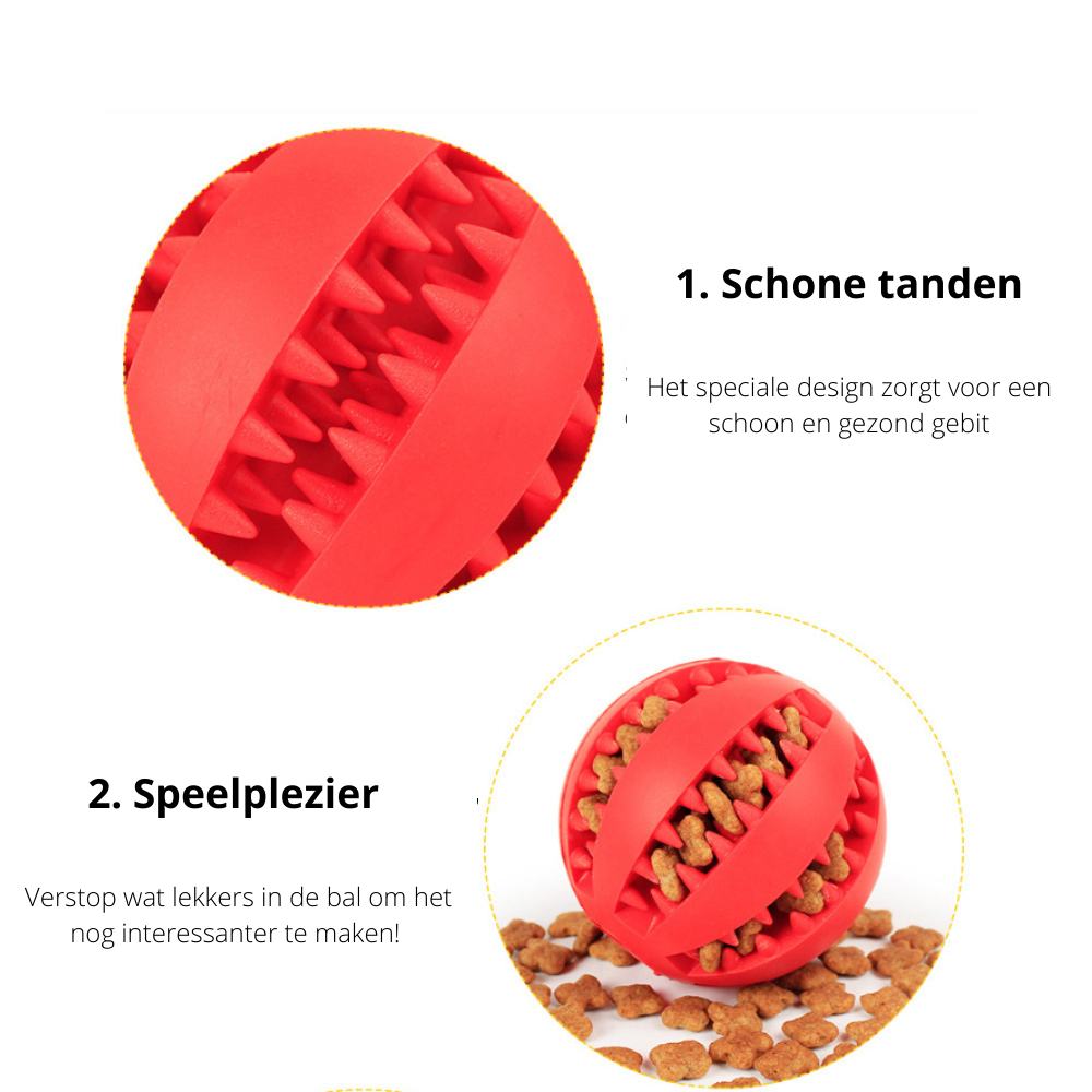 Eco Friendly Durable Dog Toy for Play