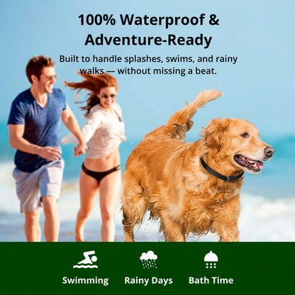 Waterproof Rechargeable Dog Training Collar with Remote