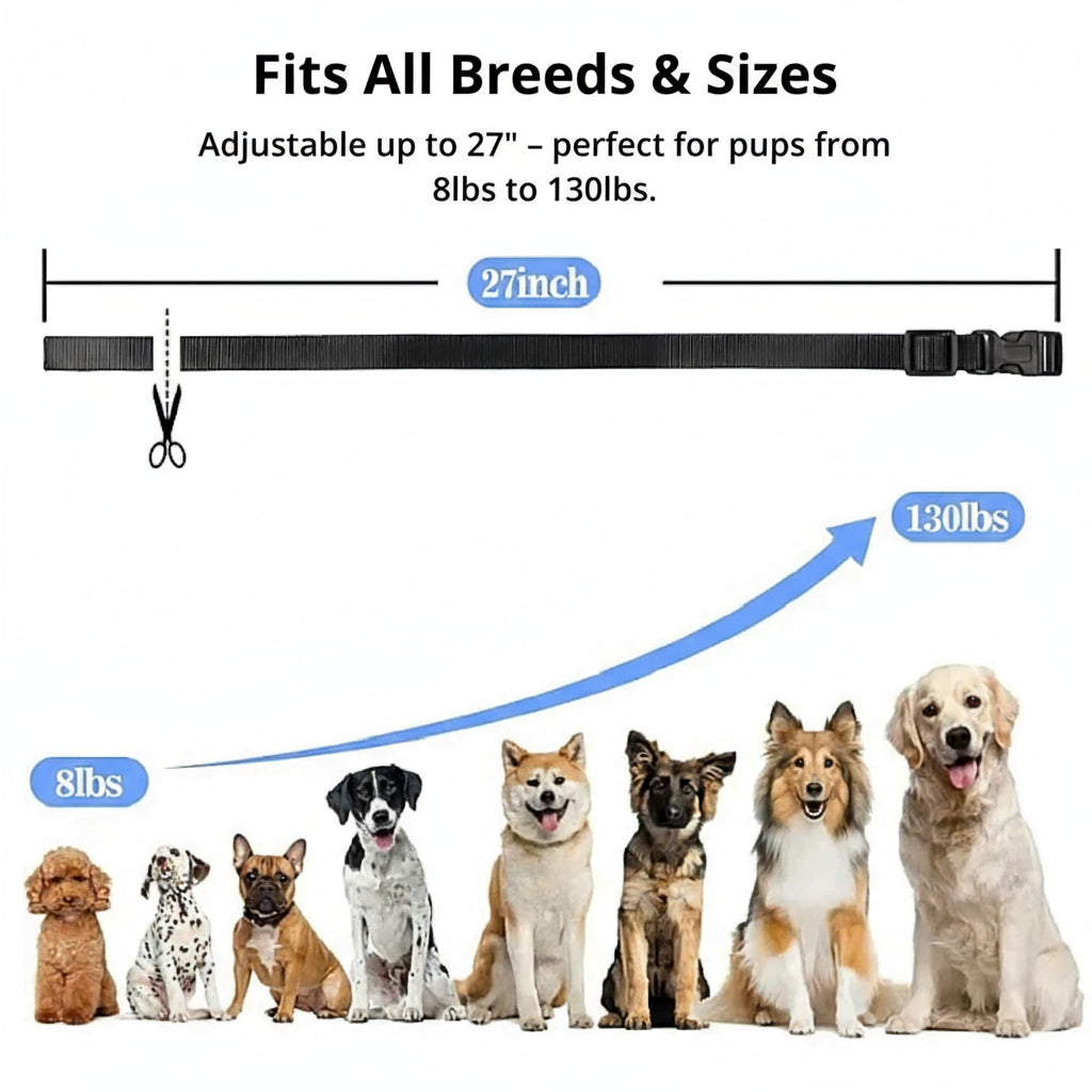 Waterproof Rechargeable Dog Training Collar with Remote