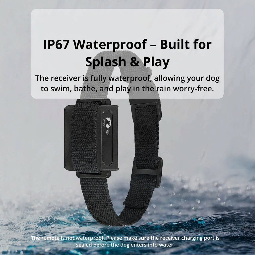 Waterproof Rechargeable Dog Training Collar with Remote