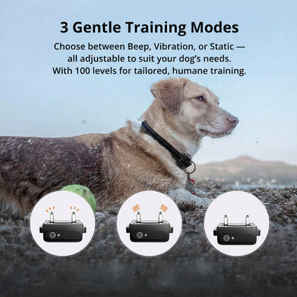 Waterproof Rechargeable Dog Training Collar with Remote