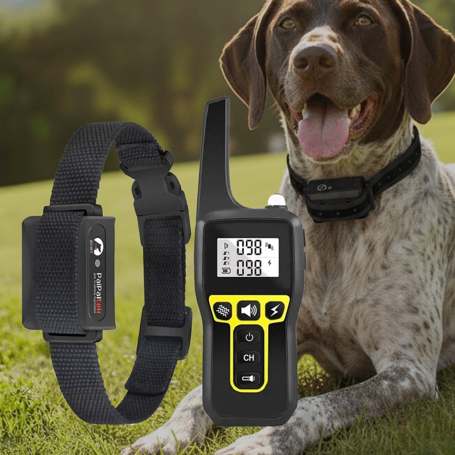 Waterproof Rechargeable Dog Training Collar with Remote - Befez