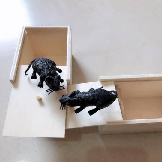 Befez | Funny Unique Gift Boxes