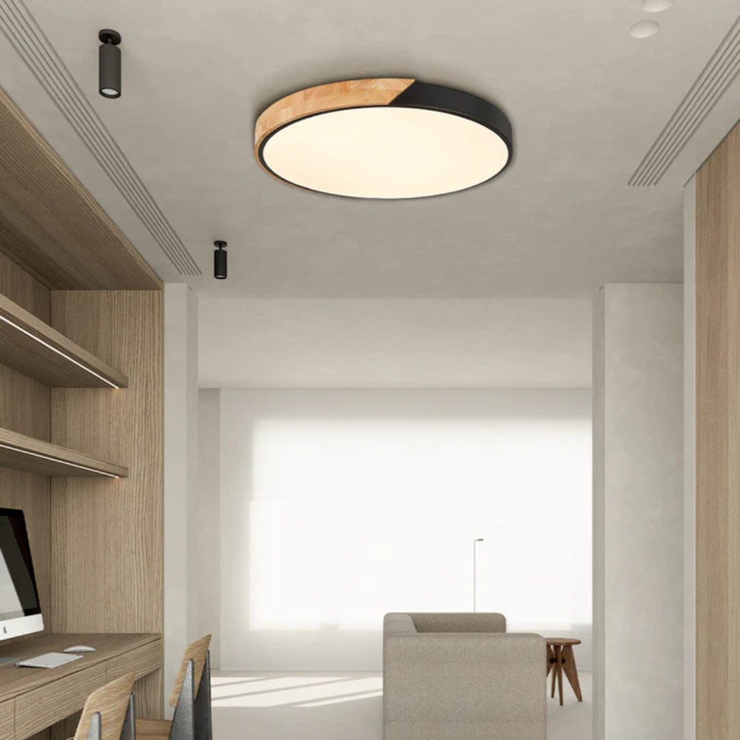 Modern Nordic LED Ceiling Light