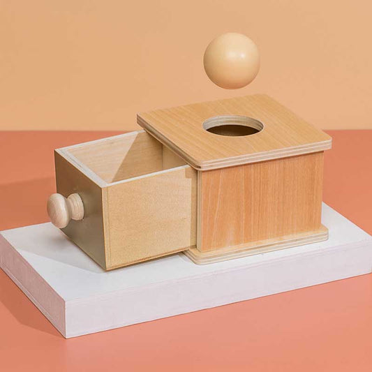 Colorful Learning Box - Kids Montessori Shape Toy - Befez