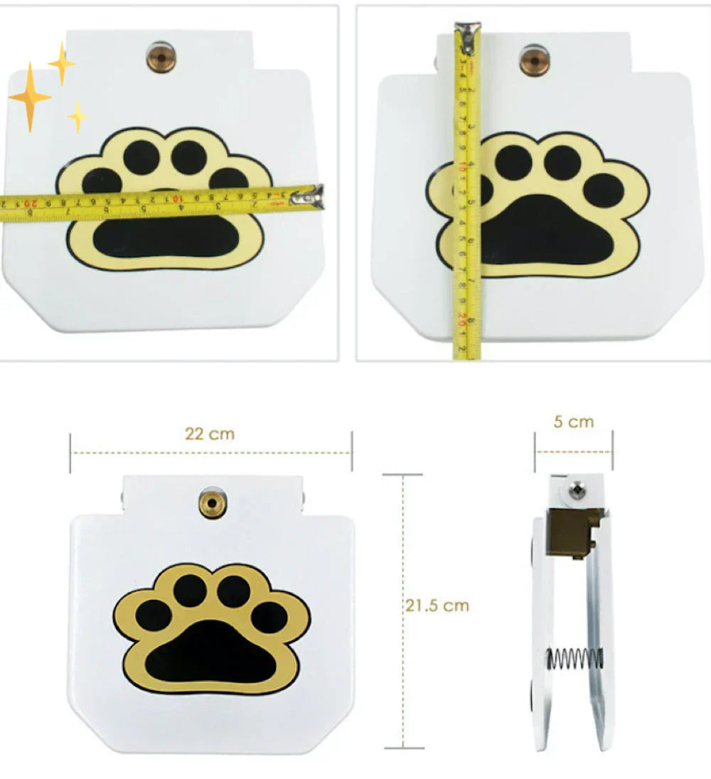 Fun Outdoor Dog Water Splash Toy