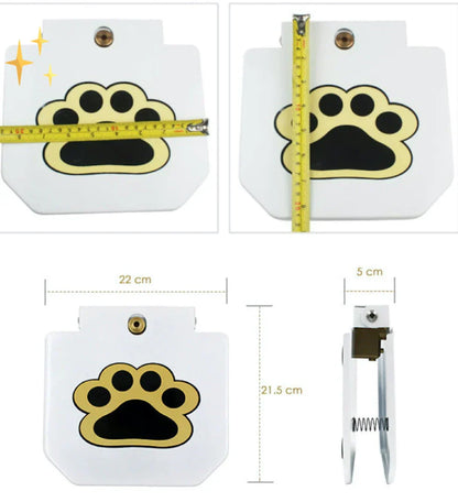 Fun Outdoor Dog Water Splash Toy