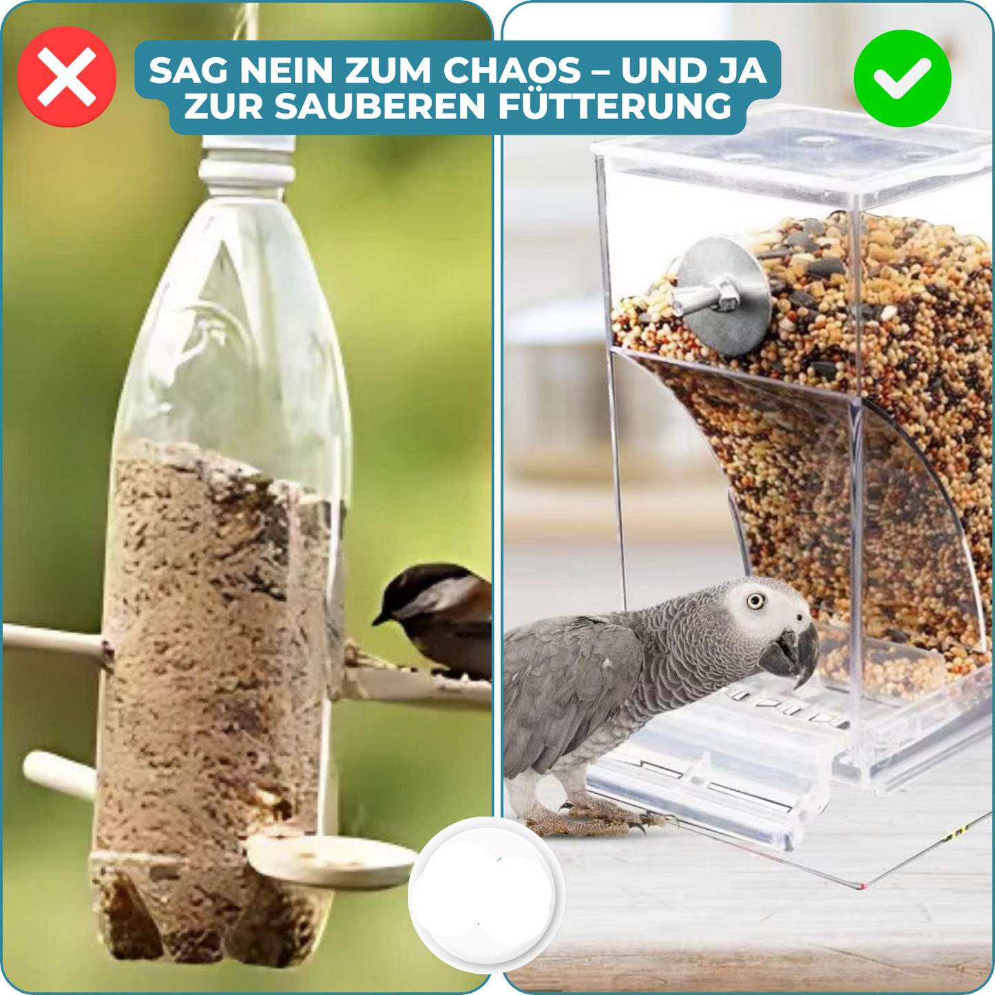 Easy Bird Feeder for Less Mess