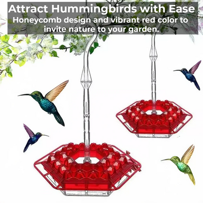 Befez | Pest-Proof Hummingbird Feeder with 30 Bug-Resistant Holes