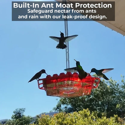 Befez | Pest-Proof Hummingbird Feeder with 30 Bug-Resistant Holes