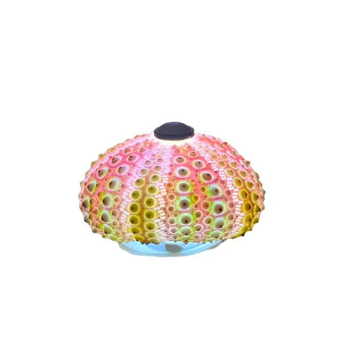 Cute Hedgehog Table Night Lamp