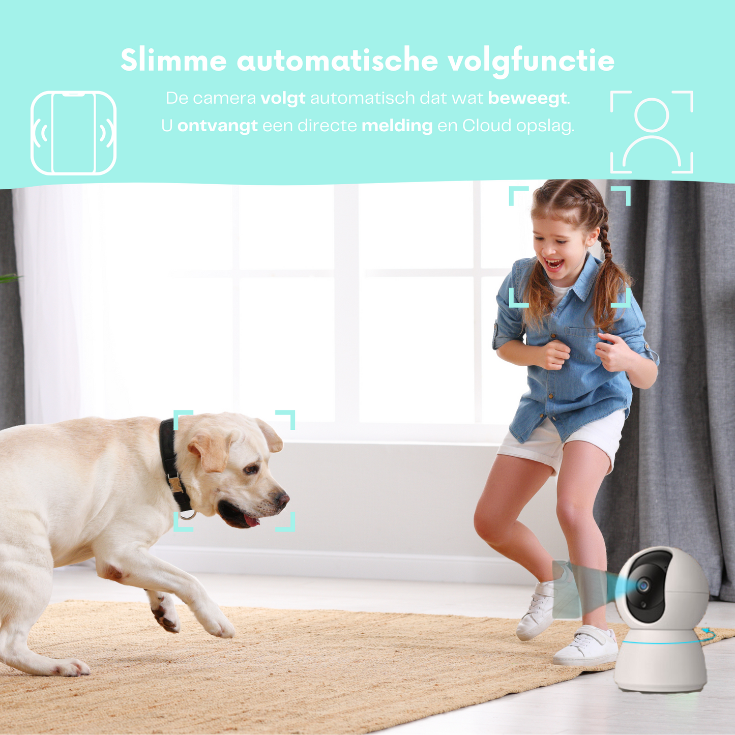 Befez Pet Monitoring Wi-Fi Camera