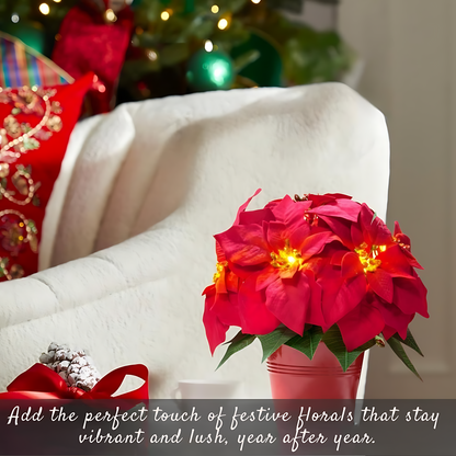 Bright Christmas Poinsettia Plant