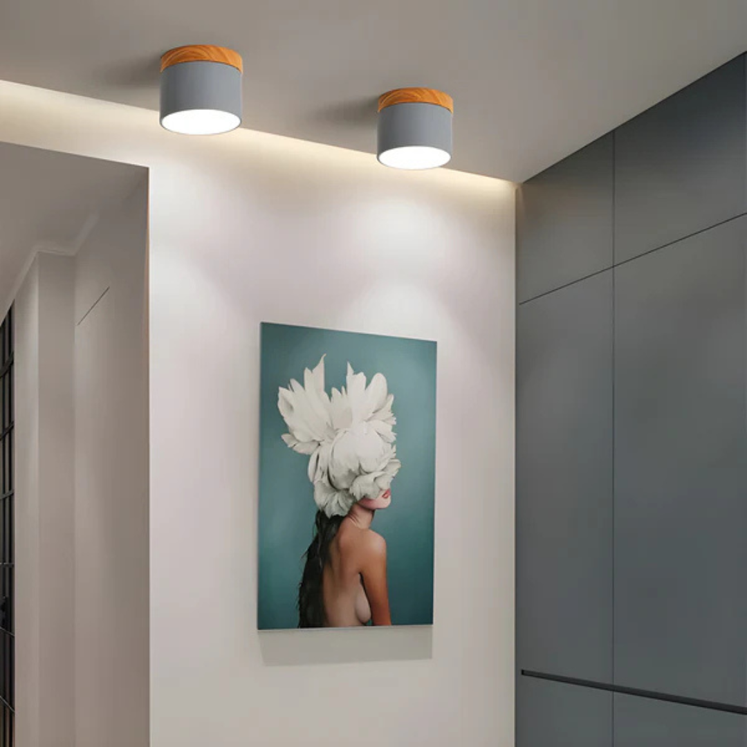 Classic Retro Style LED Light Fixture - Befez