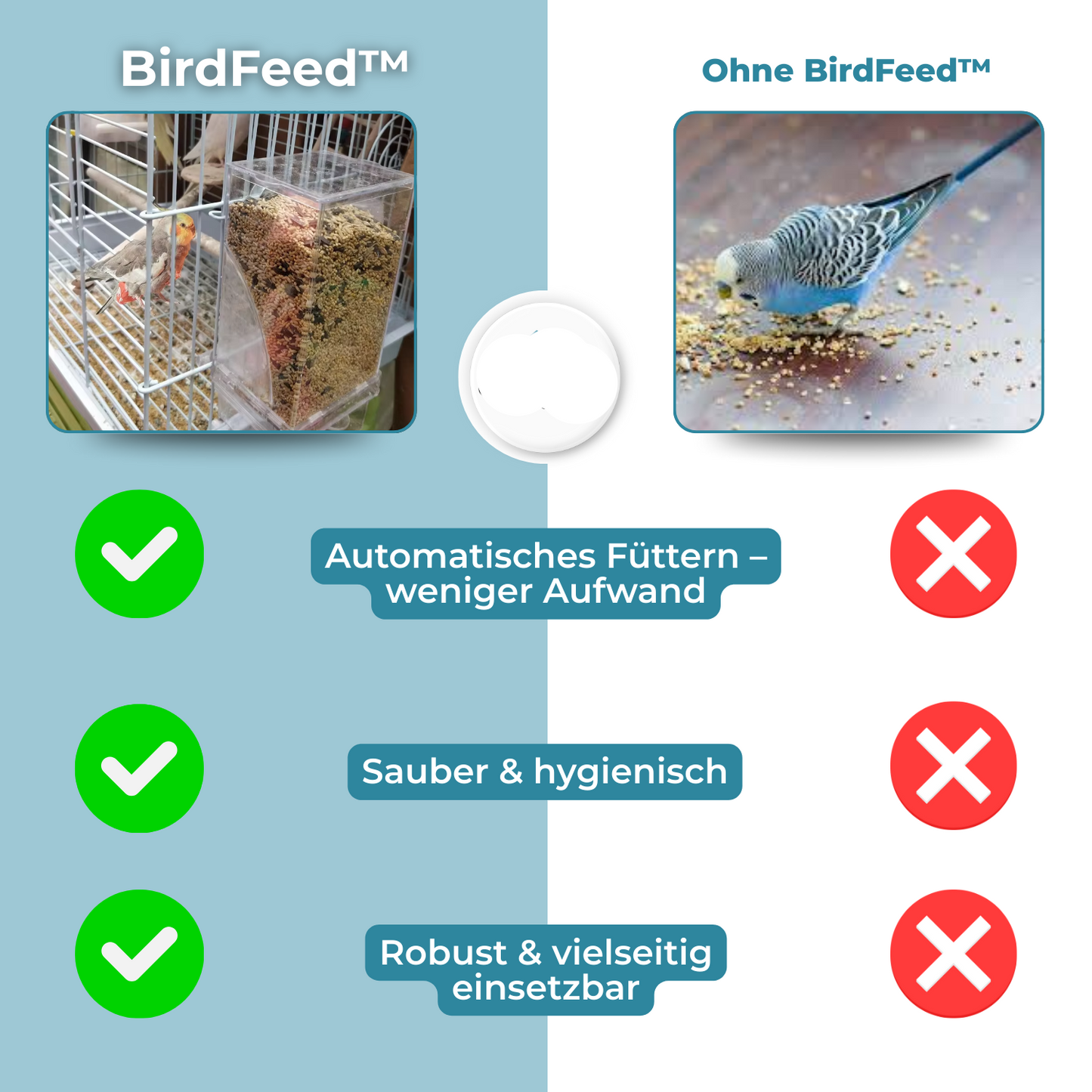 Easy Bird Feeder for Less Mess