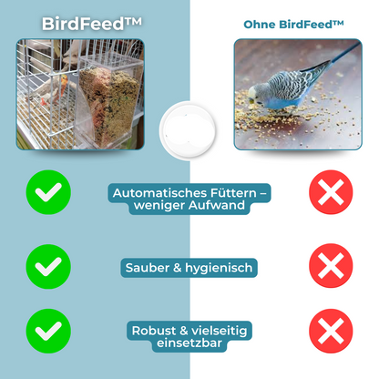 Easy Bird Feeder for Less Mess