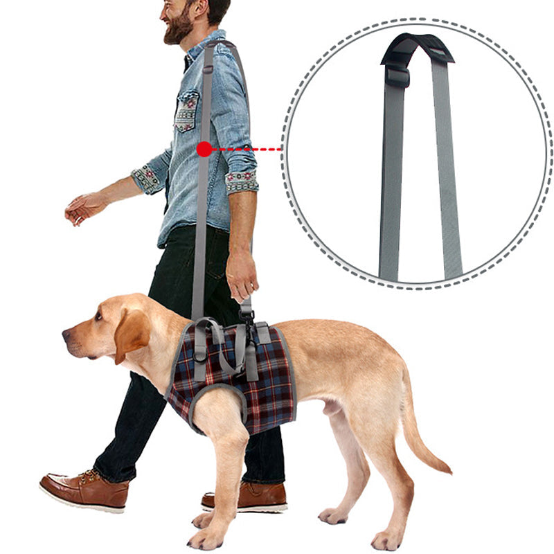 Supportive Dog Leg Brace Strap