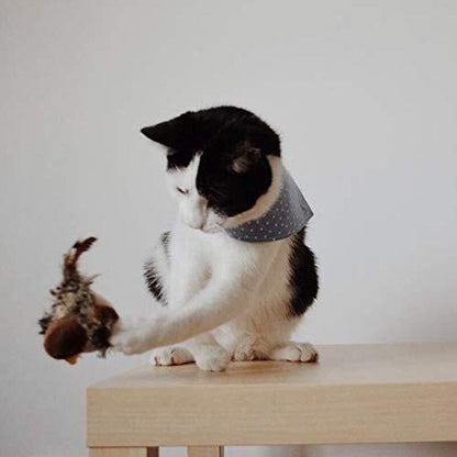 Fun Feather Teaser Toy