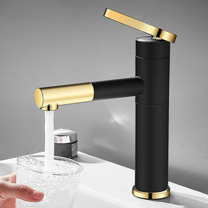 Modern Faucet with Lever Handle and Rotating Spout