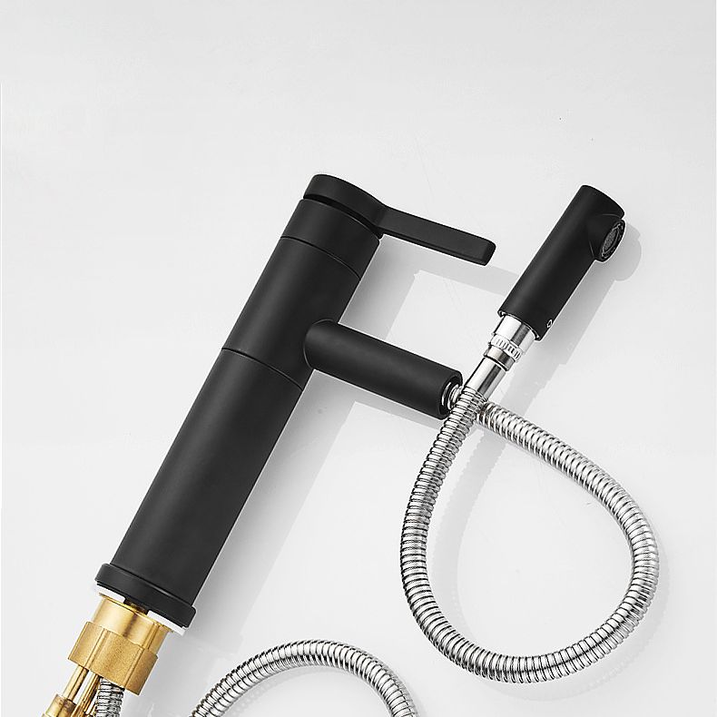 Modern Faucet with Lever Handle and Rotating Spout