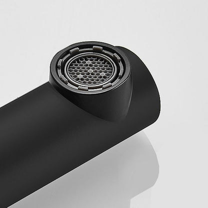 Modern Faucet with Lever Handle and Rotating Spout