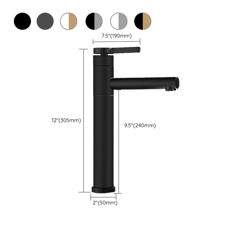Modern Faucet with Lever Handle and Rotating Spout