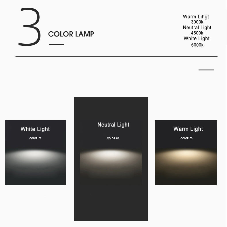Asian Inspired Modern LED Ceiling Light